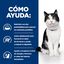 12 sobres x 85 g Hill's Prescription Diet Digestive Care i/d Pollo en salsa sobre para gatos , , large indicador imagen numero 5